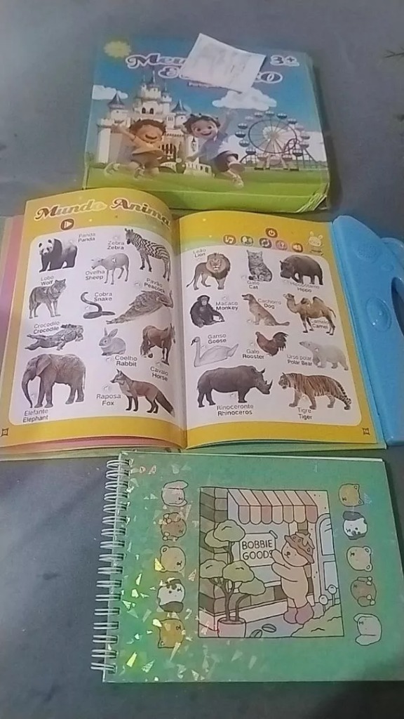 Foto do livro e conteudo